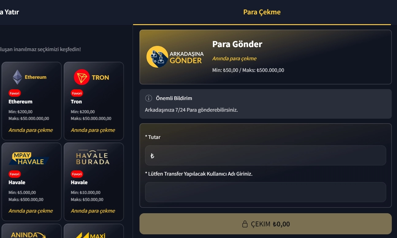 Para Gönder we MPay Papara
