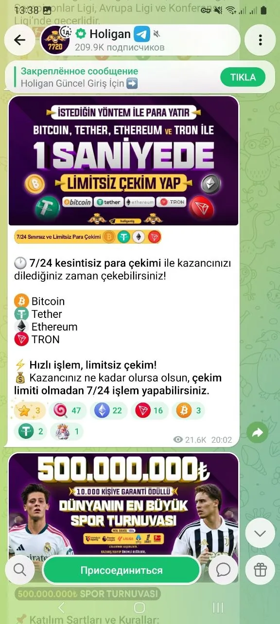 Միջերեսի տարր՝ Telegram-ով և holigantg հասցեով